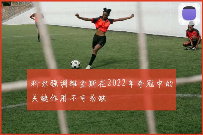 科尔强调维金斯在2022年夺冠中的关键作用不可或缺
